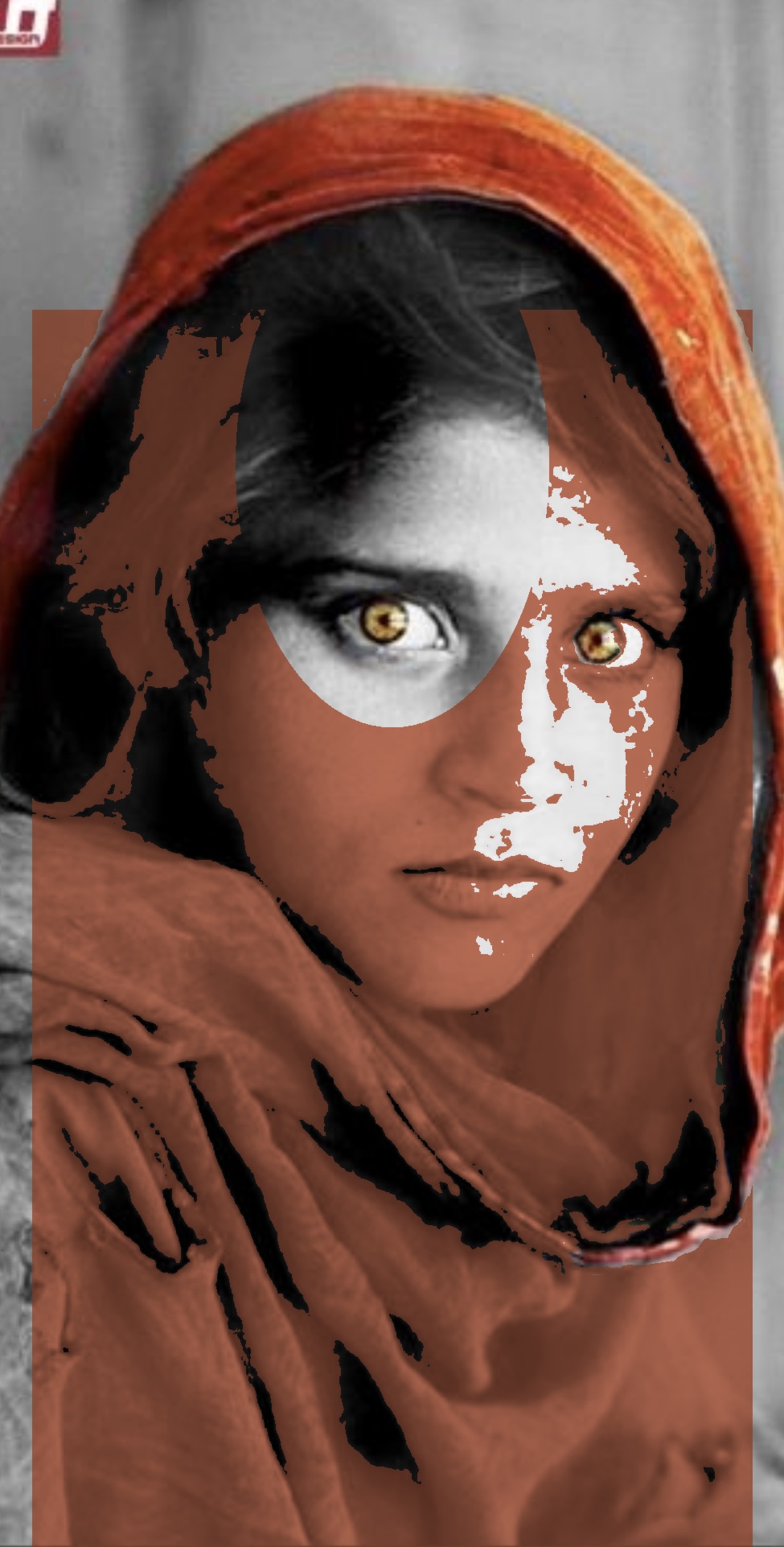 An icon of Afghan resistance — symbol of Afghan identity and heritage